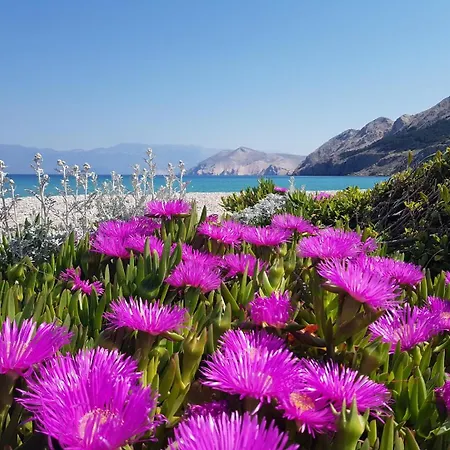 Appartement Pavlakovic Baška