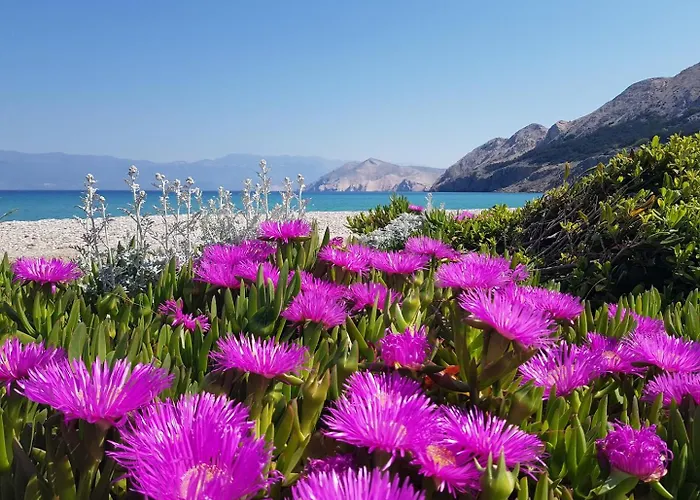 Appartamento Pavlakovic Baška